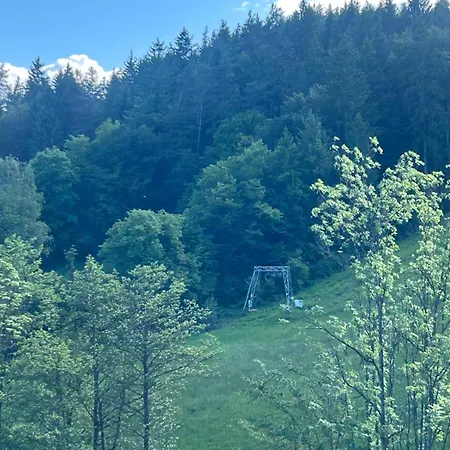 Penthaus Am Suedhang Apartment Fahrendorf
